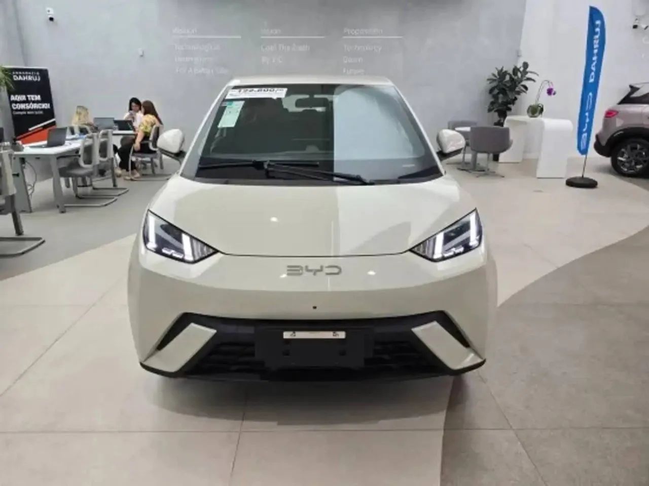 BYD Dolphin GS (Elétrico) 2027 - Foto 3