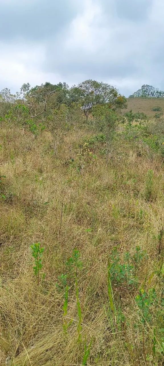 Sítio a venda em Lima Duarte - Foto 5