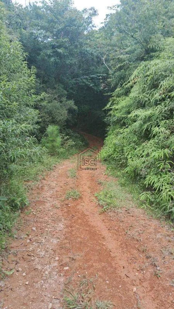 Sítio à venda, 3 quartos, Massiambú - Palhoça/SC - Foto 3