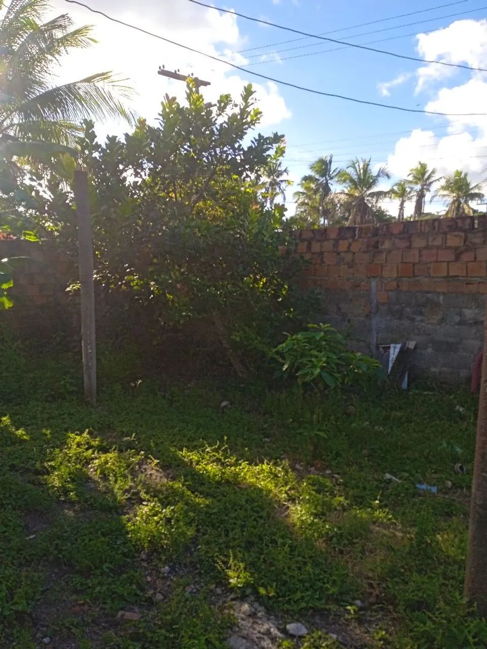 Terreno - Foto 2