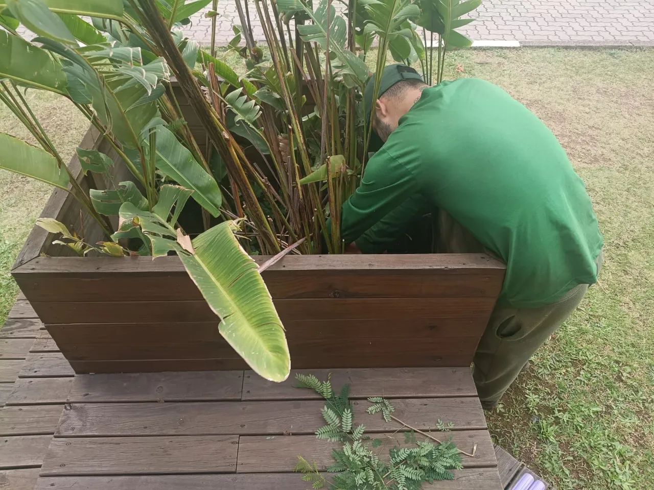 Auxiliar de jardinagem  - Foto 4