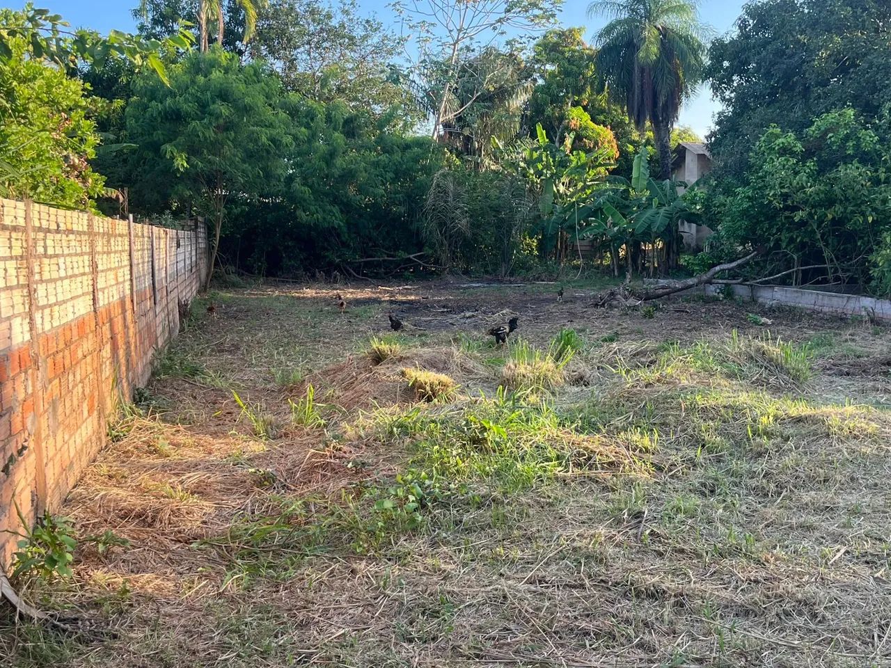 Terreno no Maracanã, próximo da Cavalaria  - Foto 2
