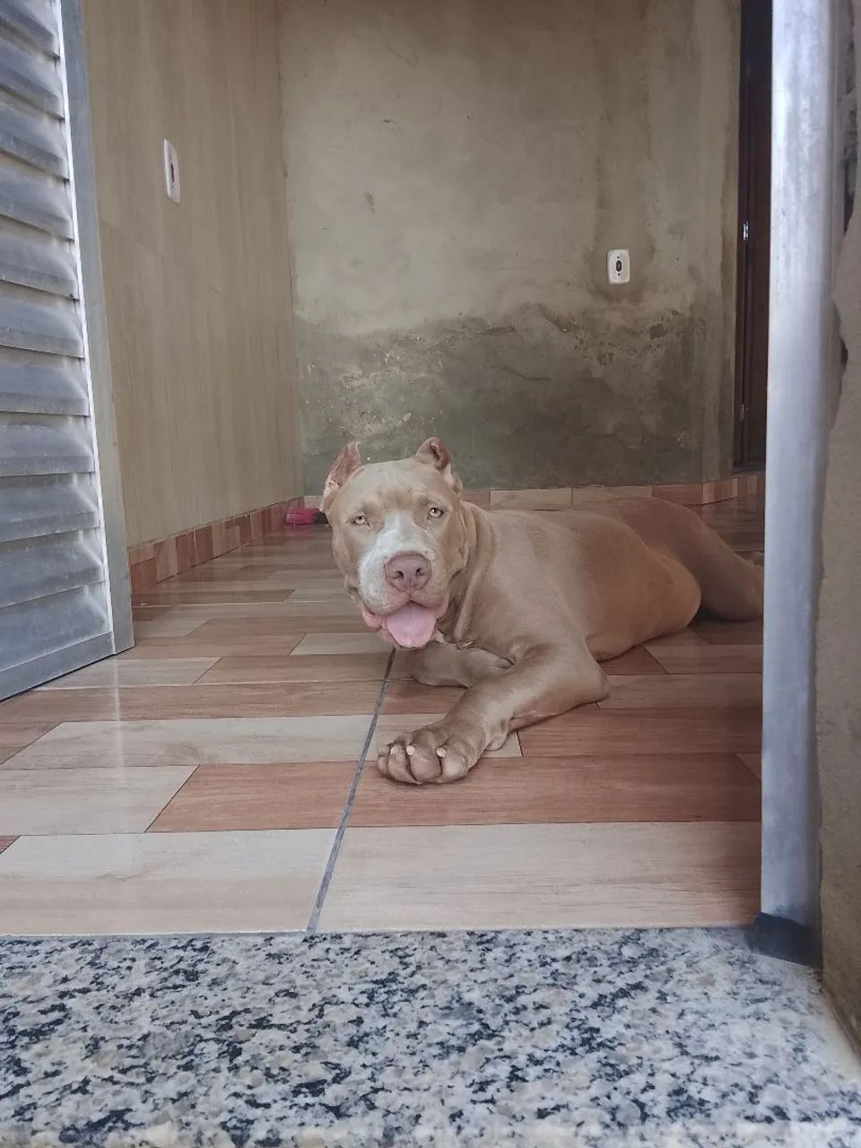 Pit moster 