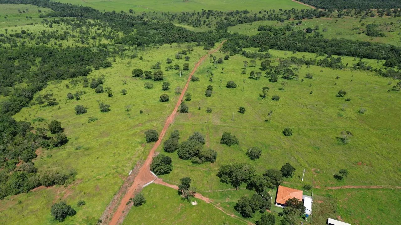 FAZENDA CAMPINA VERDE MG  - Foto 3