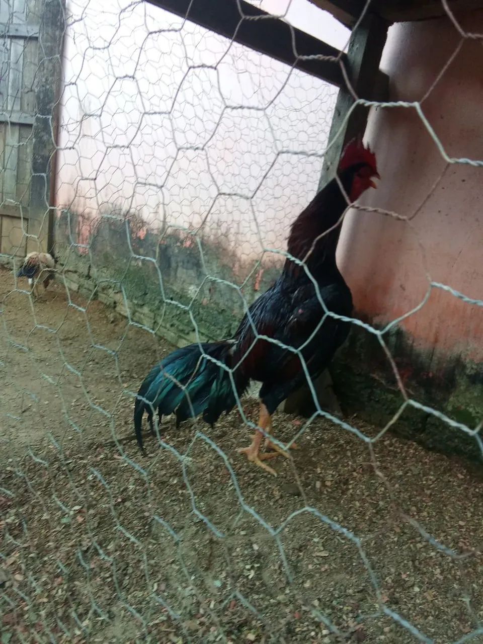 Venda - Foto 6