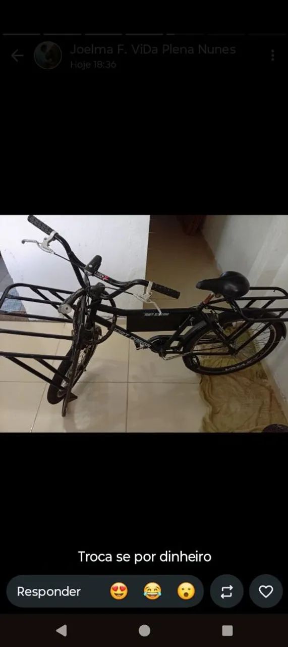 Bicicleta de Carga. - Foto 3