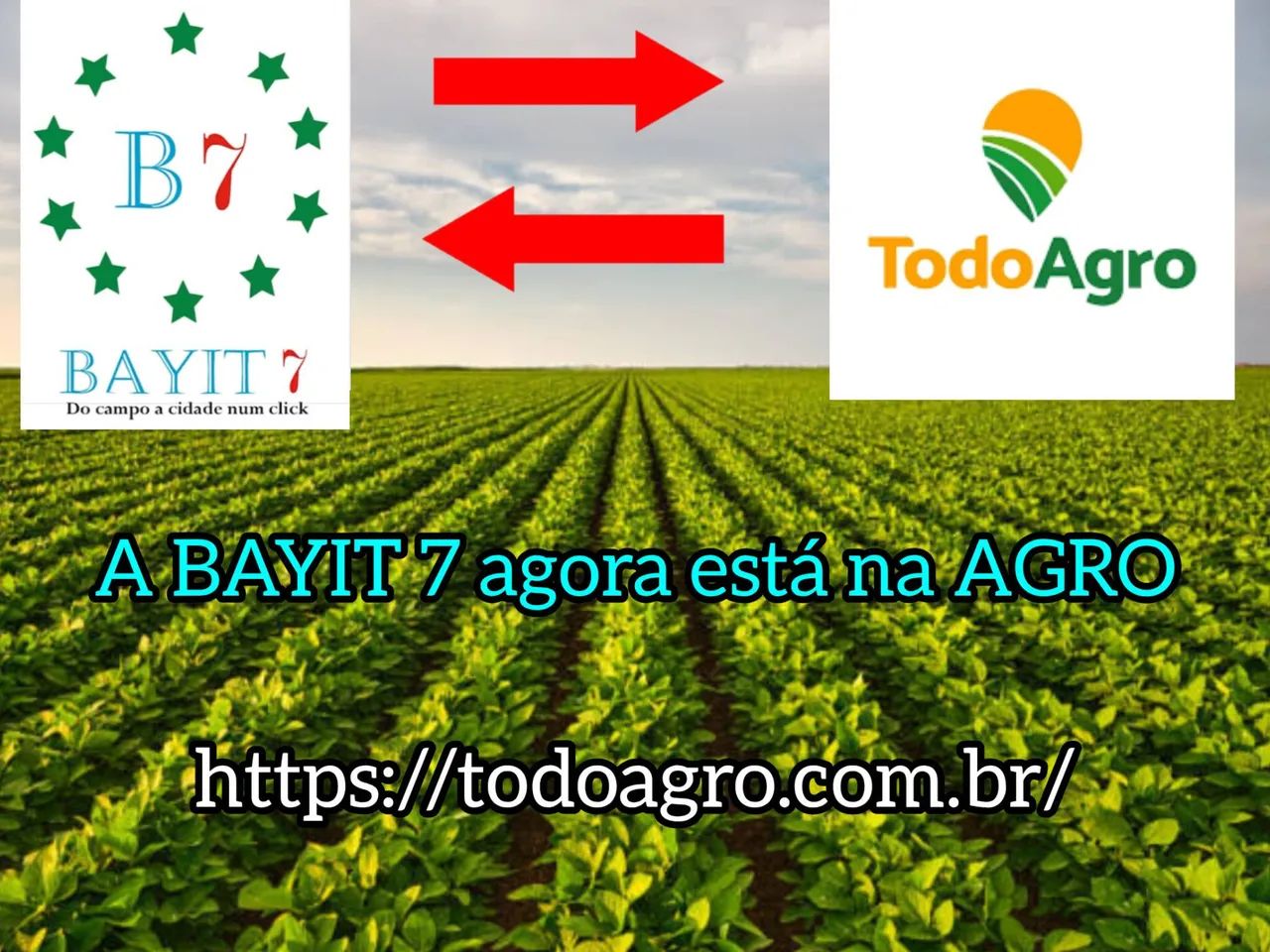 Cientista Agrário  - Foto 2