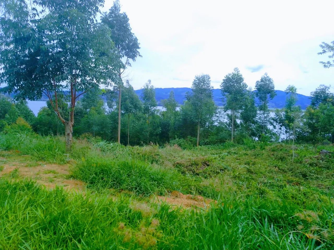 Seu refúgio com vista panorâmica para lagoa de Imarui  - Foto 3