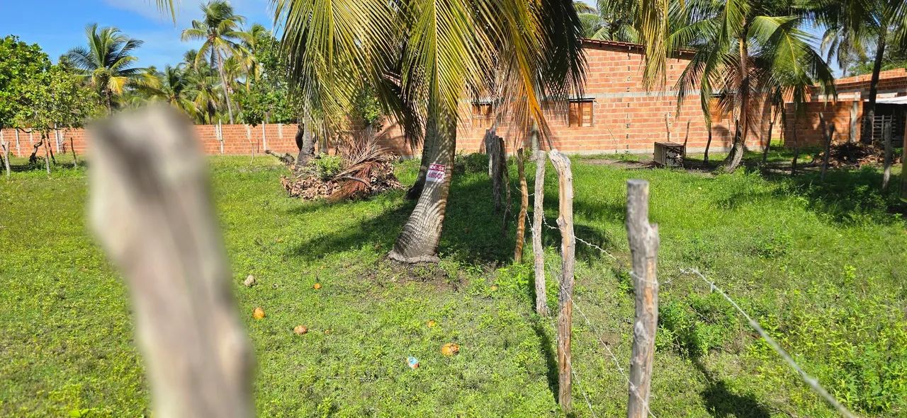 Excelente oportunidade  - Foto 3
