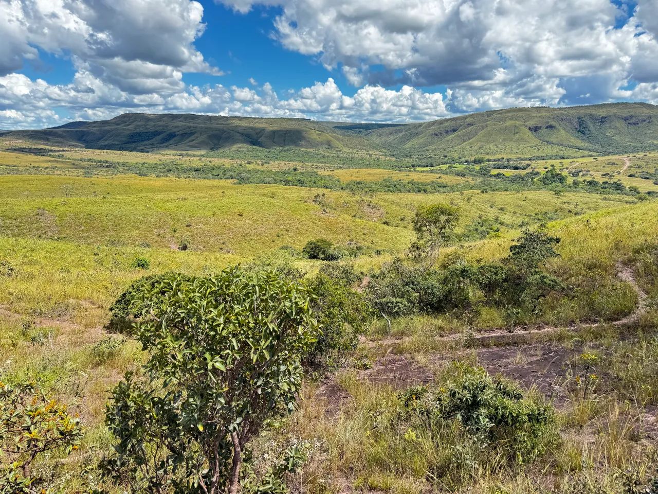 Fazenda com 134 hectares Chapada dos Veadeirosb