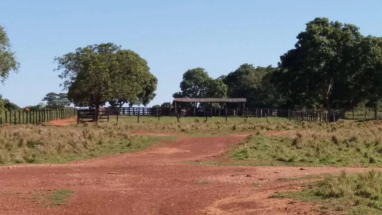Fazenda a 37 km de Nova Xavantina - Foto 4