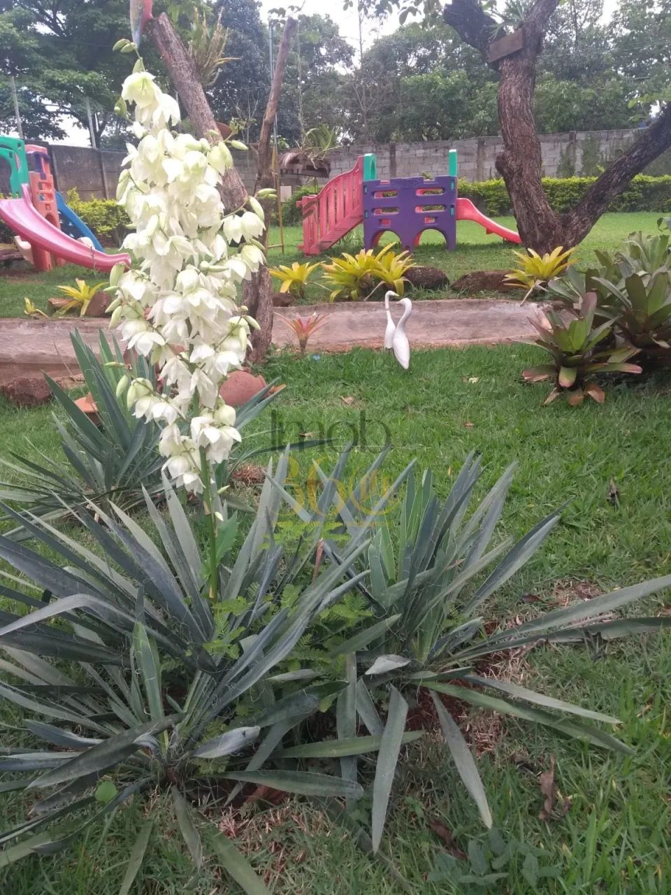 CHÁCARA Á VENDA - MARIO CAMPOS - Foto 15