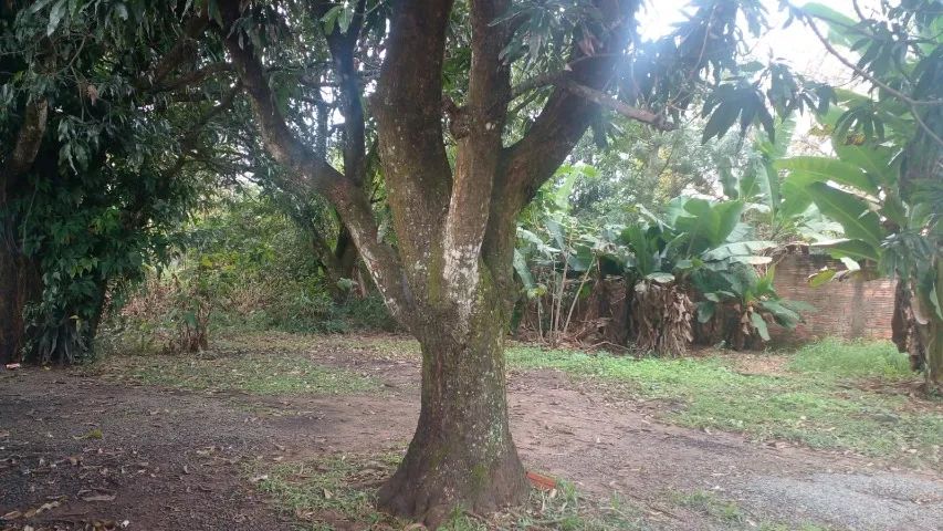 Chácara Bairro Dos Pires - Foto 5