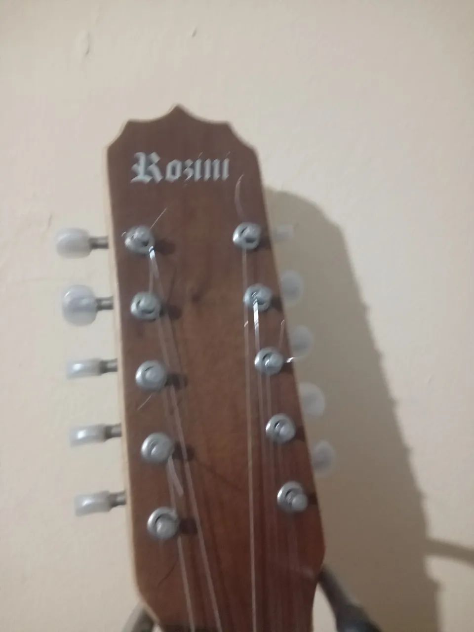 Viola ROSINI - Foto 2