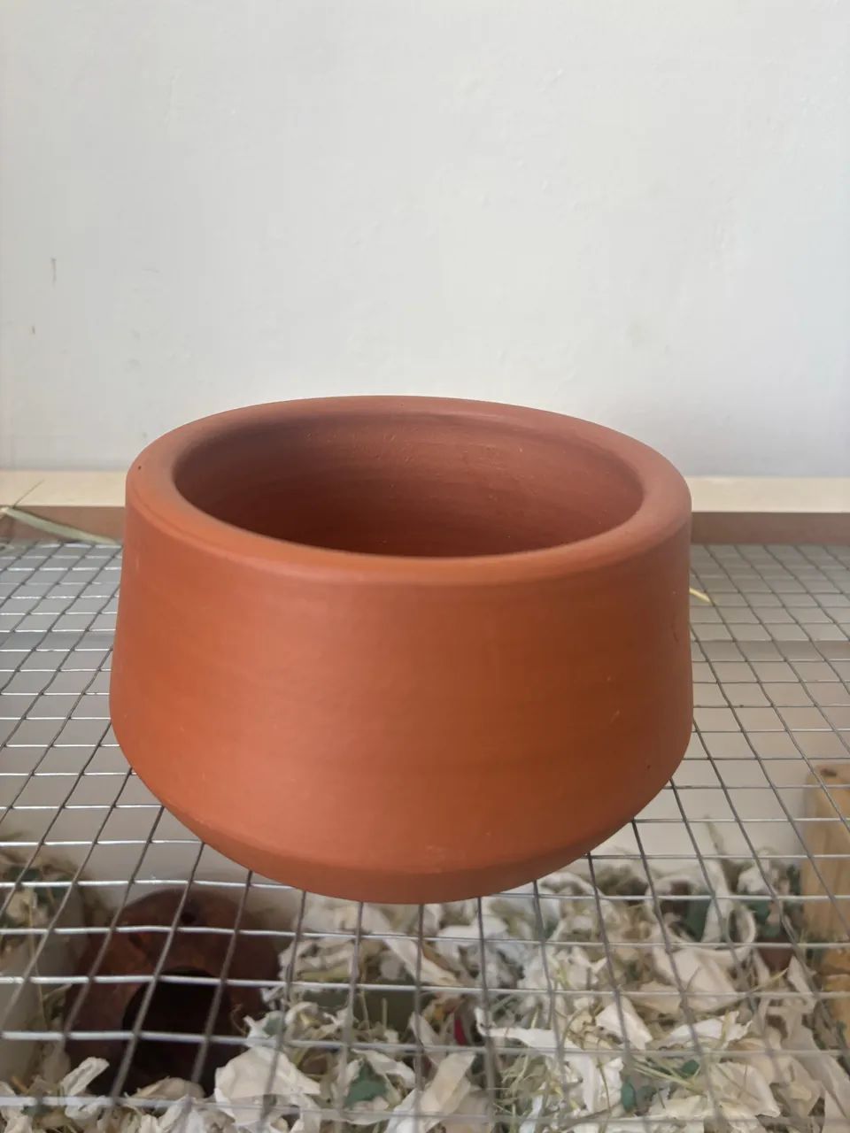 Terrário Hamster e Roedores 4 meses de uso com tudo incluso - Foto 3