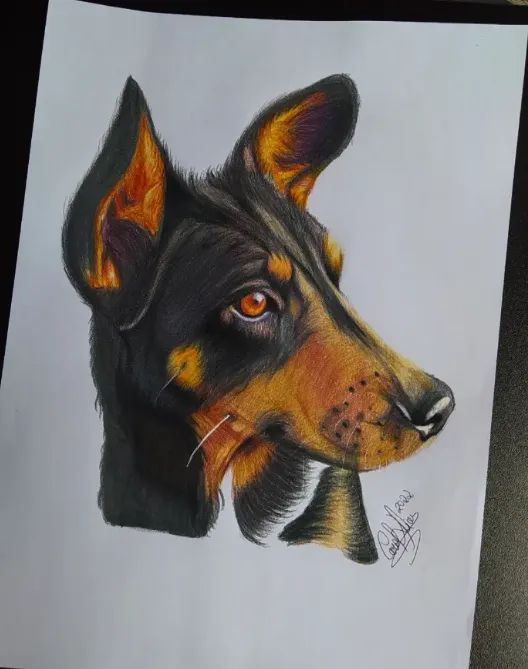 Arte do seu pet - Foto 2