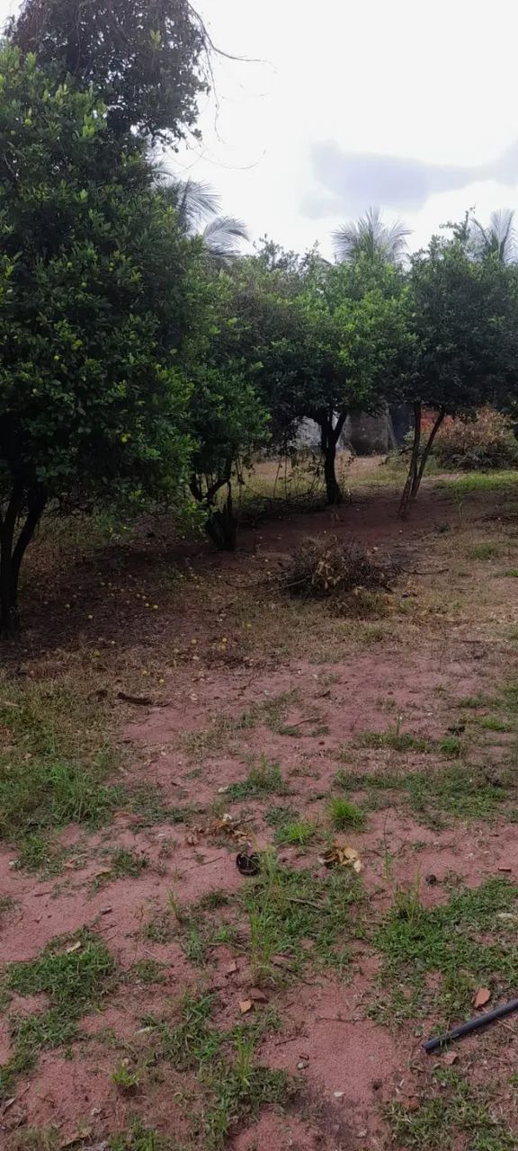 Vendo ou Troco Sítio Em Paraipaba  - Foto 4