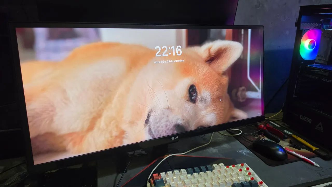 Monitor LG ultrawide 29"