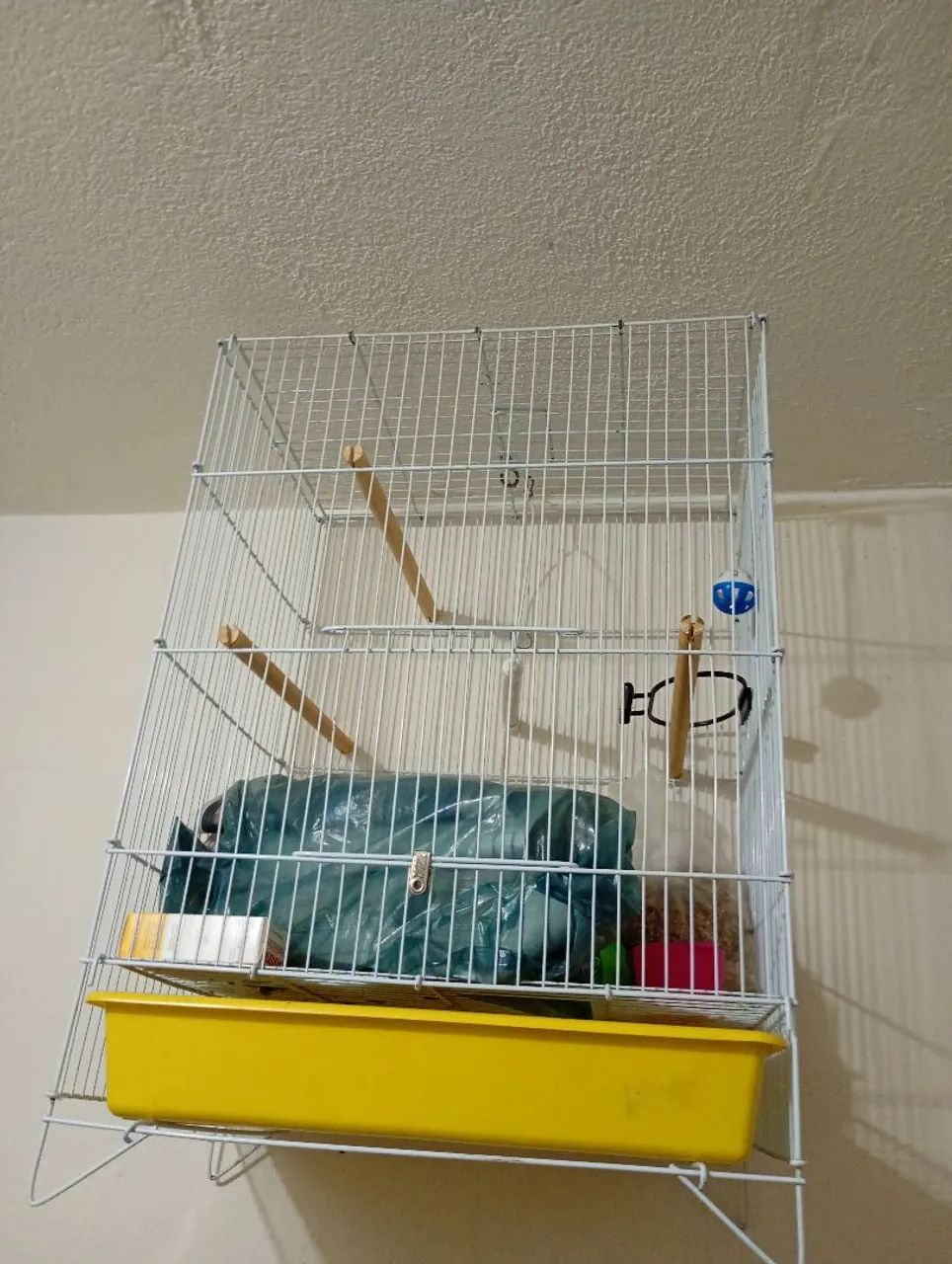 Gaiola grande e pequena