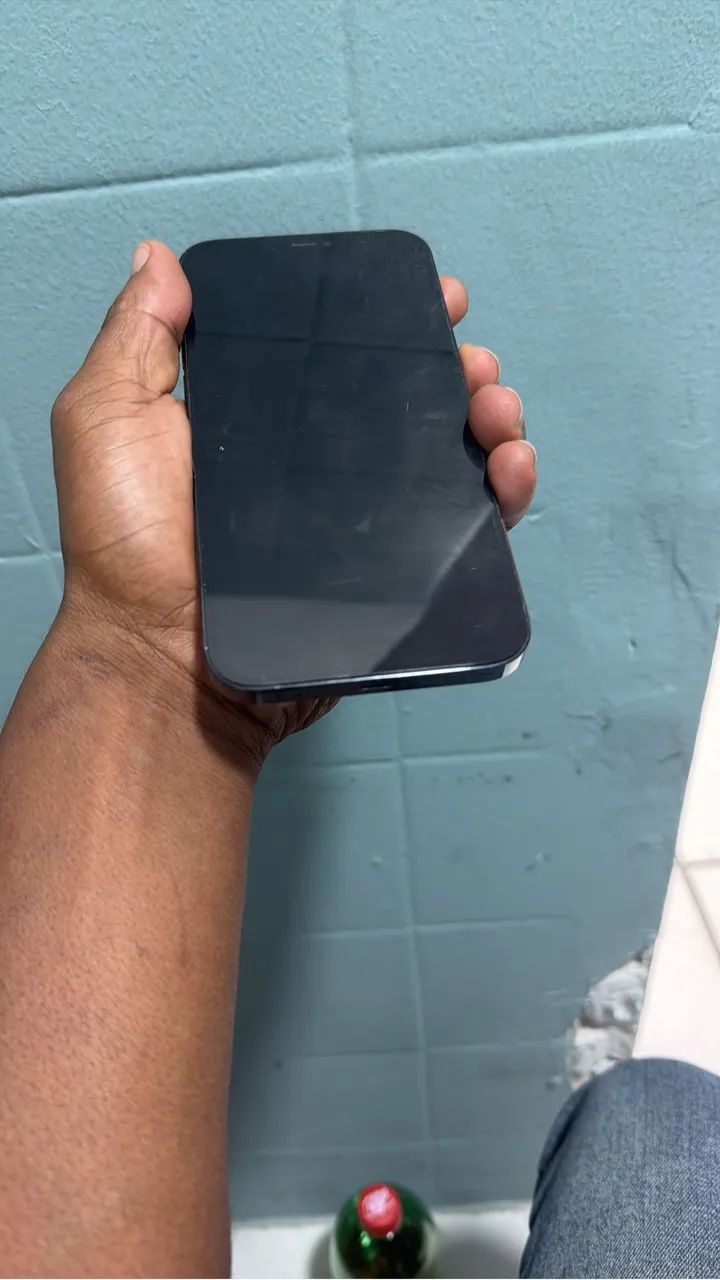 iPhone 12 Pro Max 