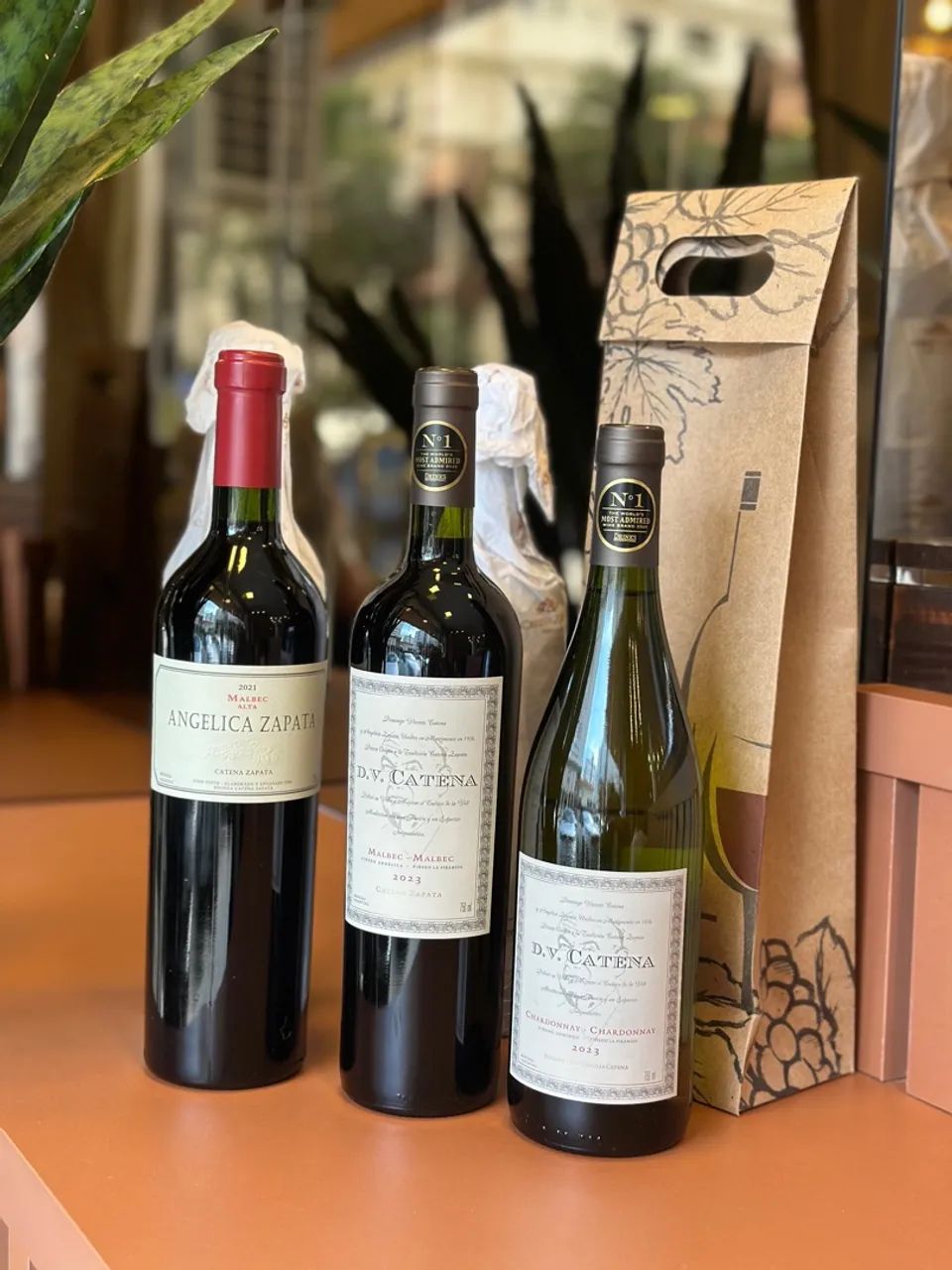 VINHOS DV CATENA E ANGÉLICA ZAPATA - Foto 2