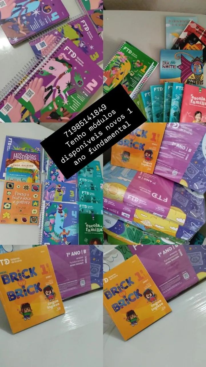 Livros ftd sistema de ensino 1 ano 1
