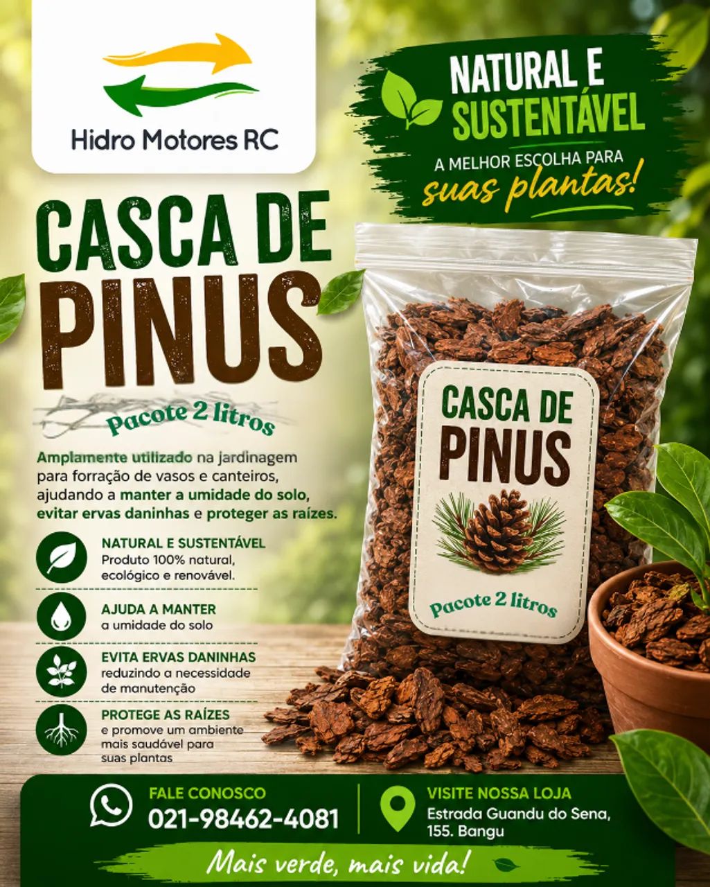Casca de Pinus