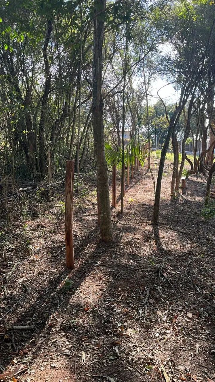 TERRENO IBIUNA  - Foto 4