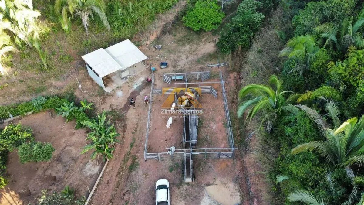 Fazenda com 10 Alqueires na Zona Rural de Palmas - Sentido Lajeado á 45 km do Centro - Foto 11