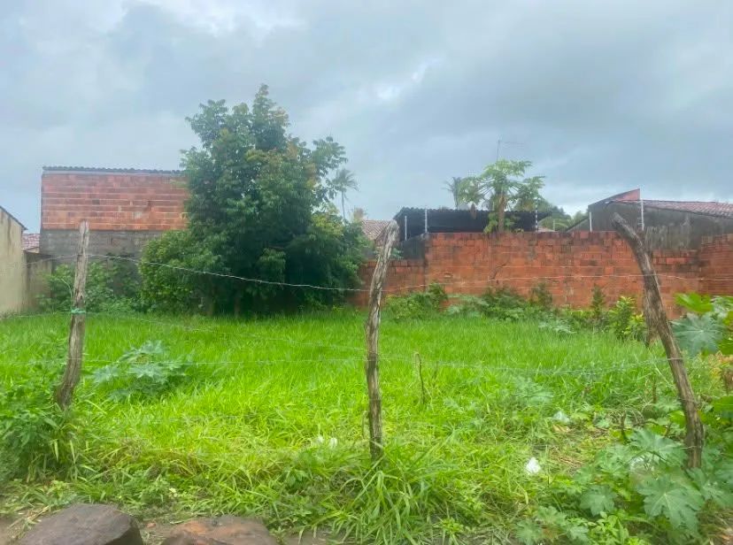 Terreno a Venda preço impérdivel. - Foto 3