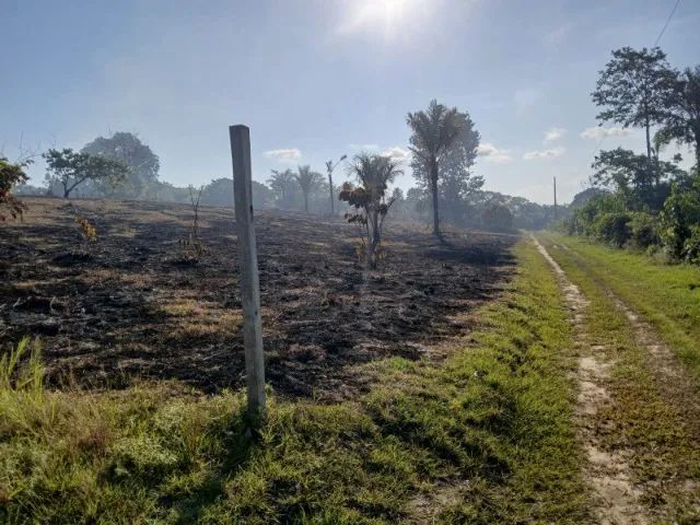 Dois Terrenos à venda em Tonantins - AM - Foto 2