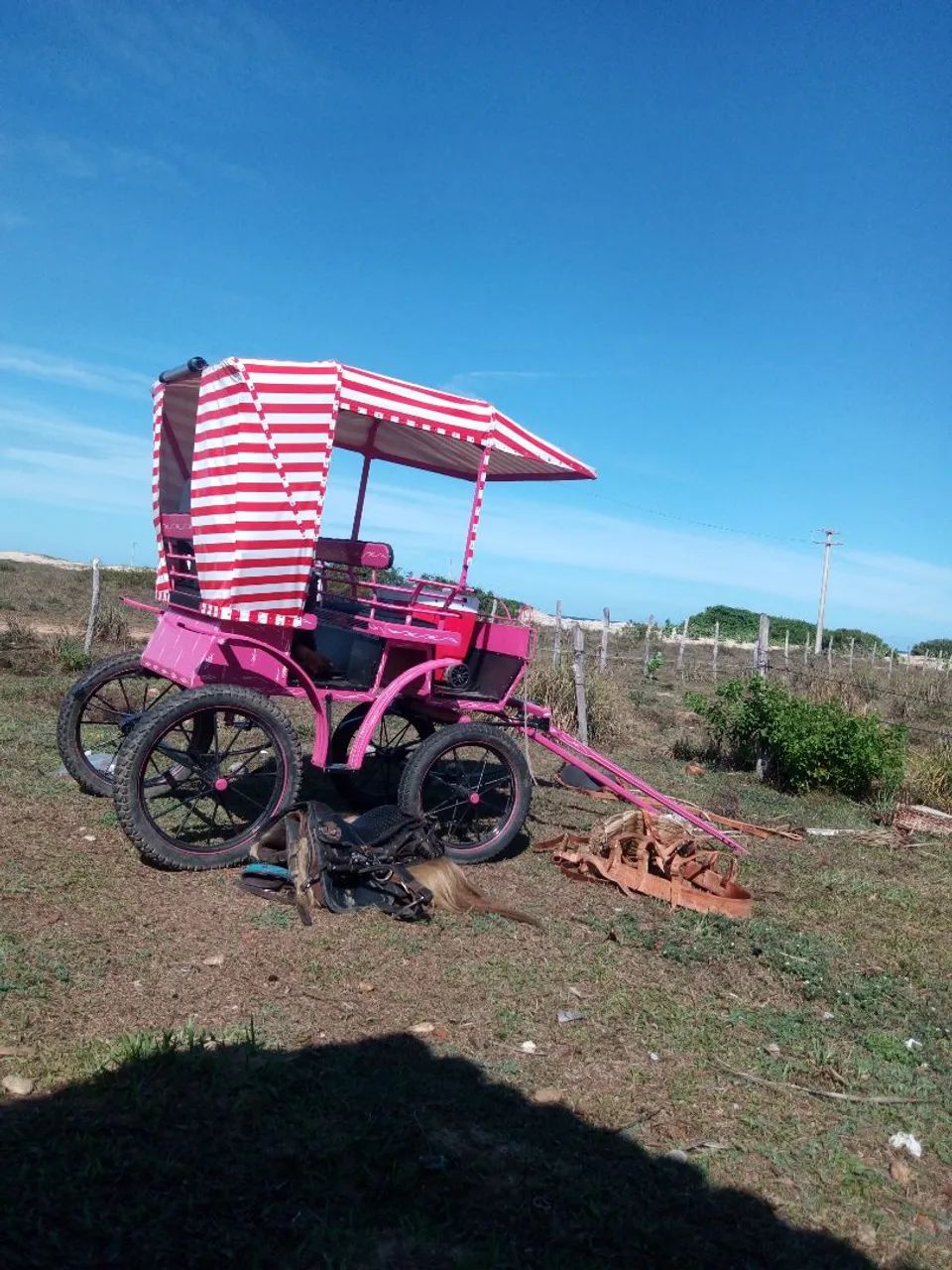 Carruagem - Foto 2