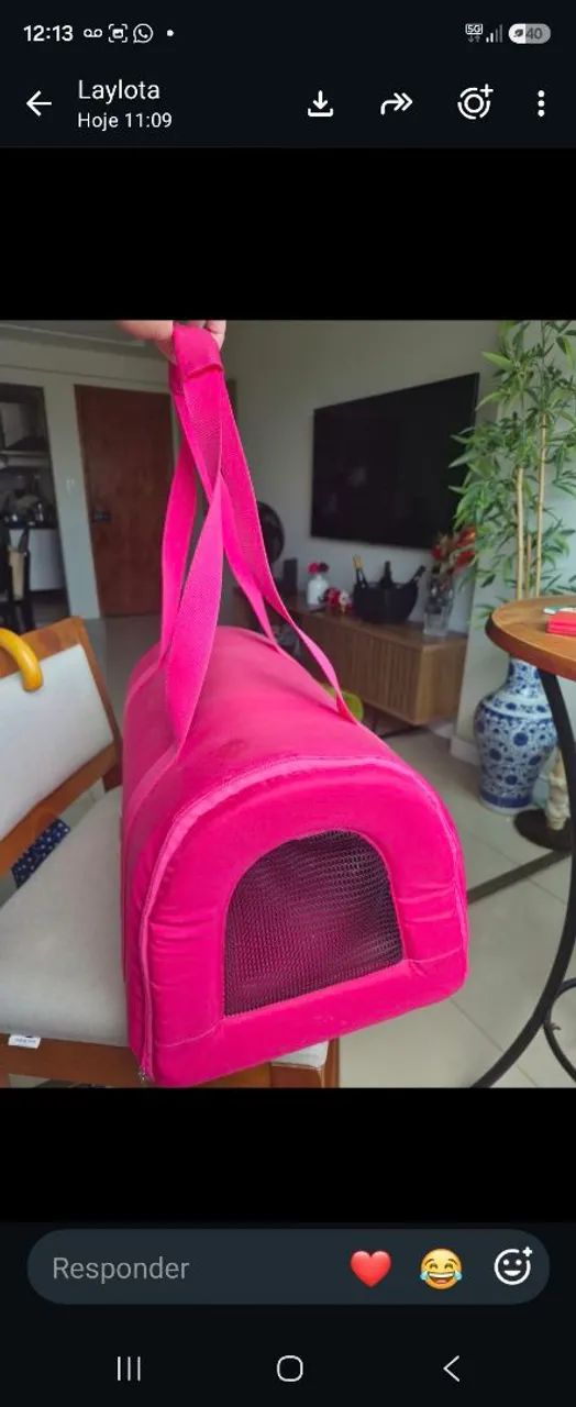 Caixa de transporte para gato  - Foto 3