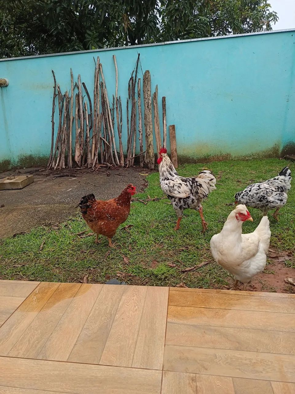 GSB BALÃO 