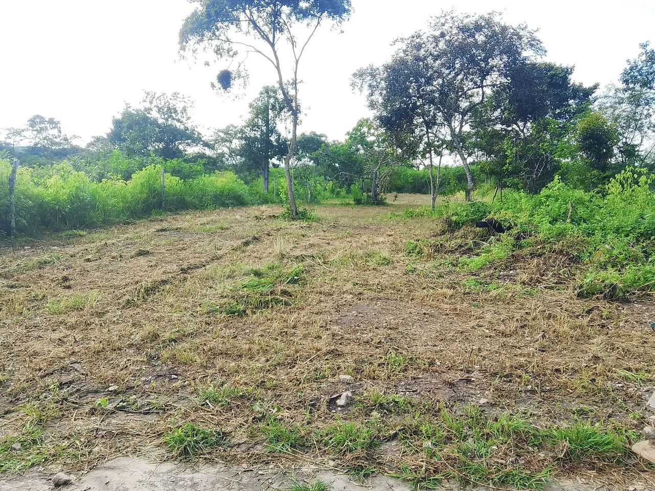 Terreno  - Foto 2