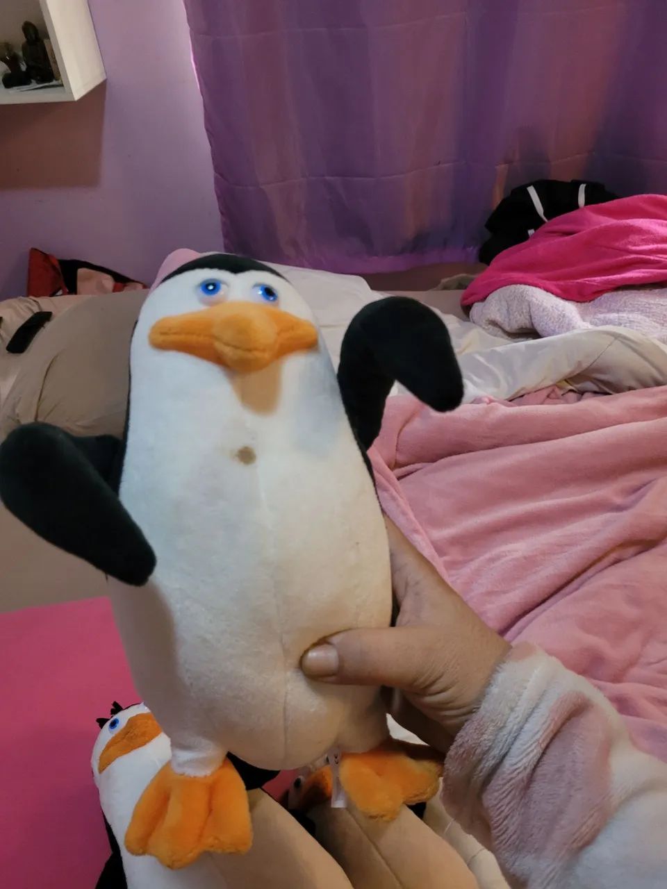 Pinguins Magadascar - Foto 5