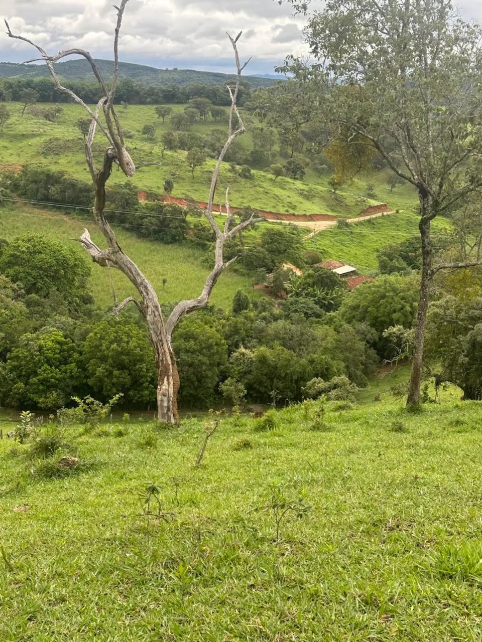 Fazenda de 12 ha em Piracema- Mg - Foto 3