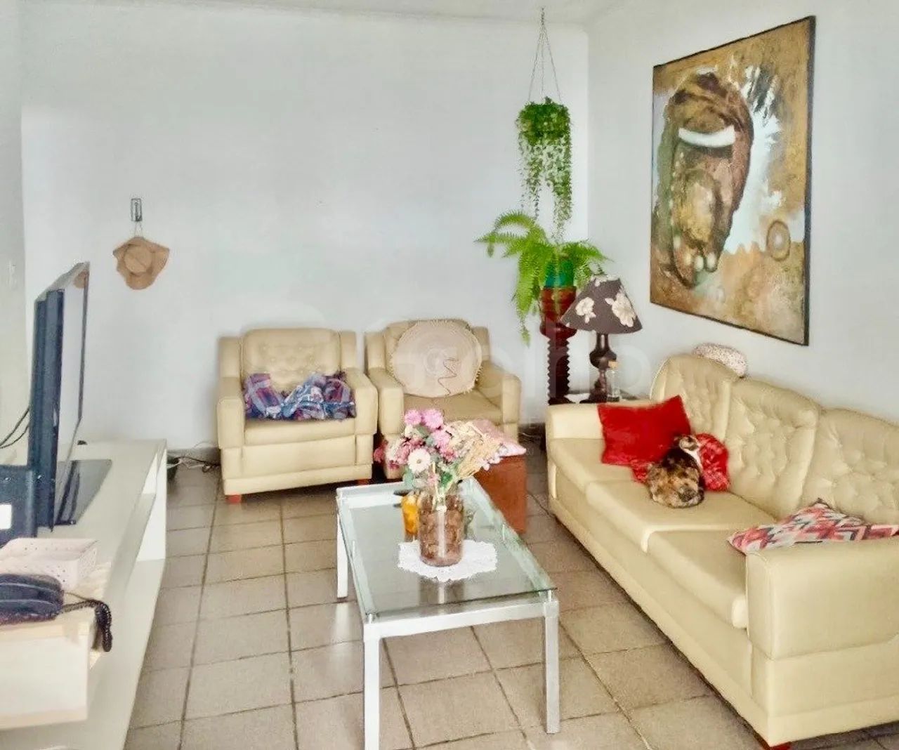 Casa de 288m² com 4 quartos no Saco dos Limões - Foto 3