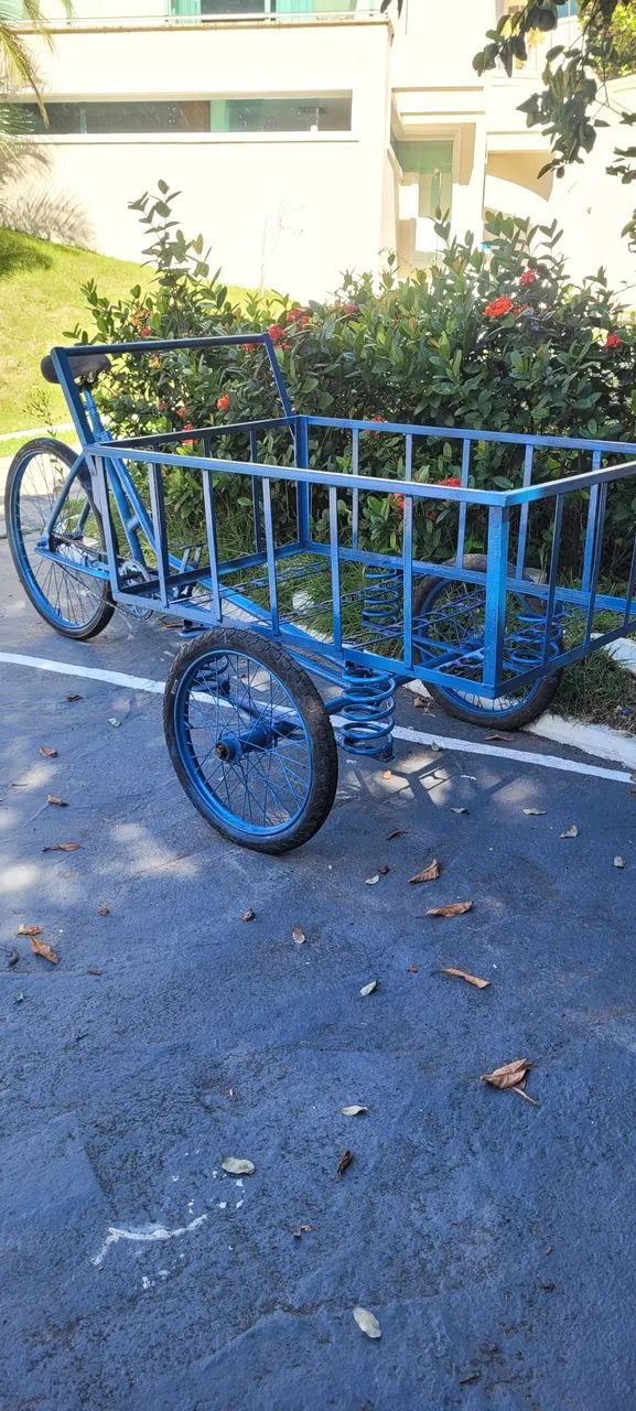 Triciclo de carga