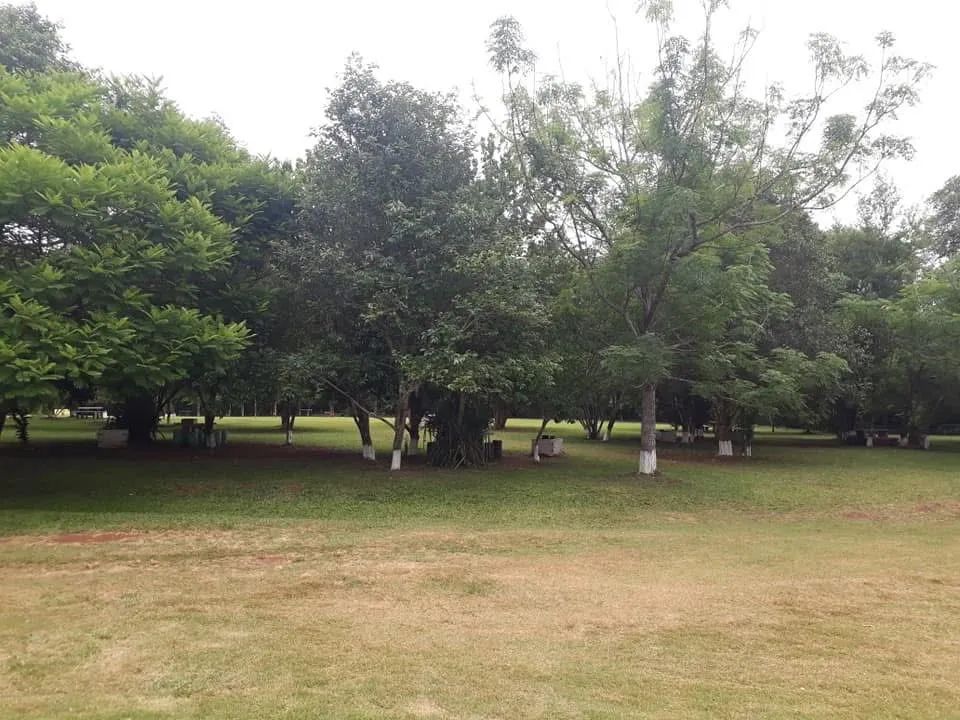 Chácaras a venda em Foz do Iguaçu  - Foto 3
