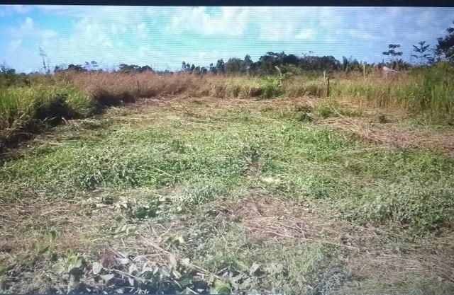 Vendo terreno