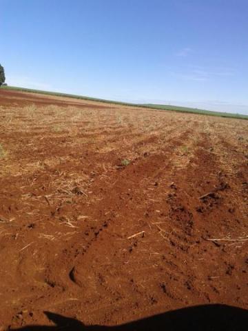 Sítio para venda em batatais, rural - Foto 12
