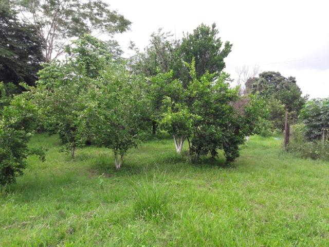 Vende-se uma chácara na beira do rio Cuiabá - Foto 9