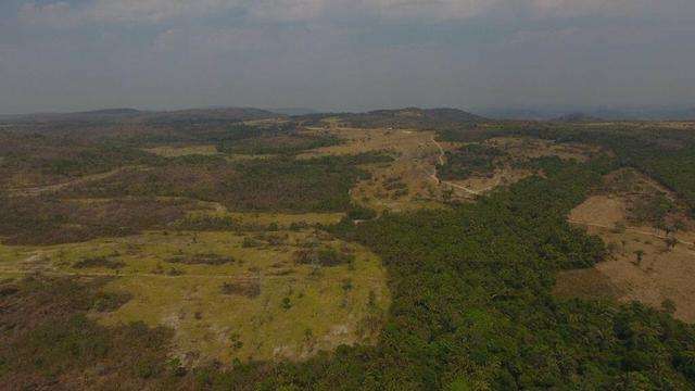 Fazenda região de São Vicente - Foto 3