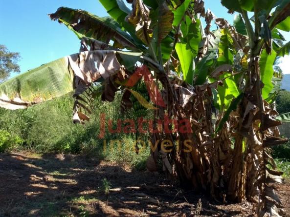 Sítio à venda em Boa vista da serra, Juatuba cod:ST00032 - Foto 7