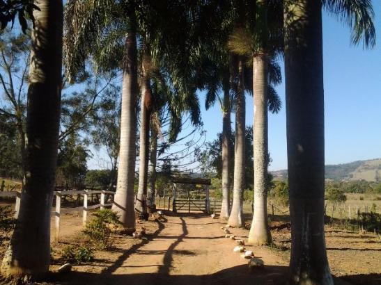 Chácara para venda em pouso alegre, rural - Foto 3