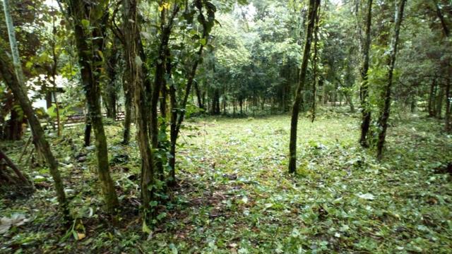 Terreno Quiriri - Foto 2
