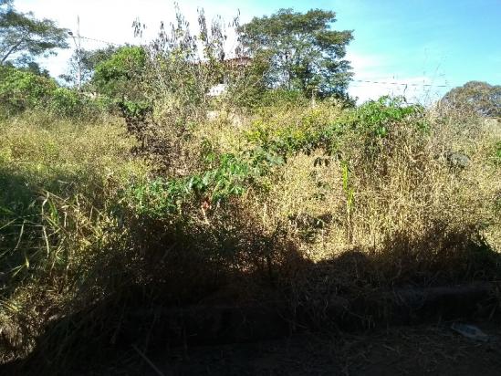 Casa em dois lotes área total de 720,00m² - Foto 10