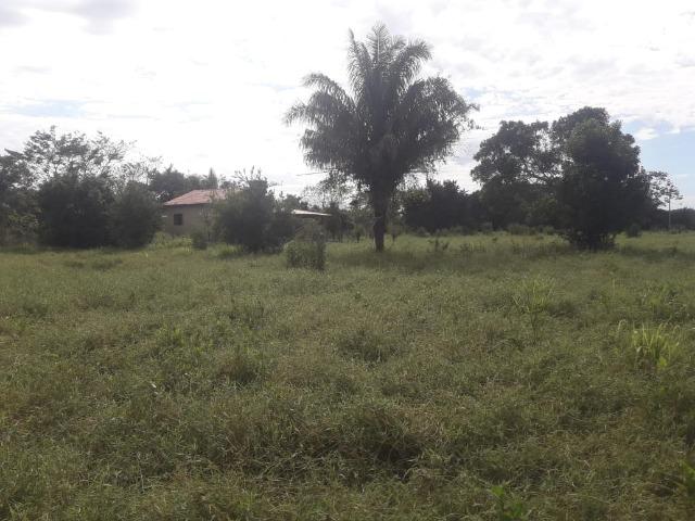 Sitio na Margem do Rio Cuiabá - Foto 4