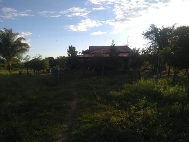Sitio na Margem do Rio Cuiabá - Foto 6